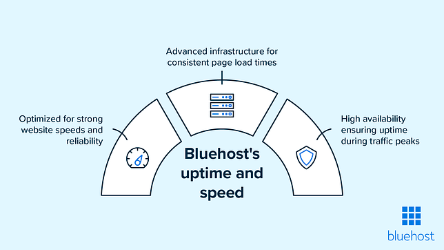 Overview of Bluehost’s uptime and performance (speed).