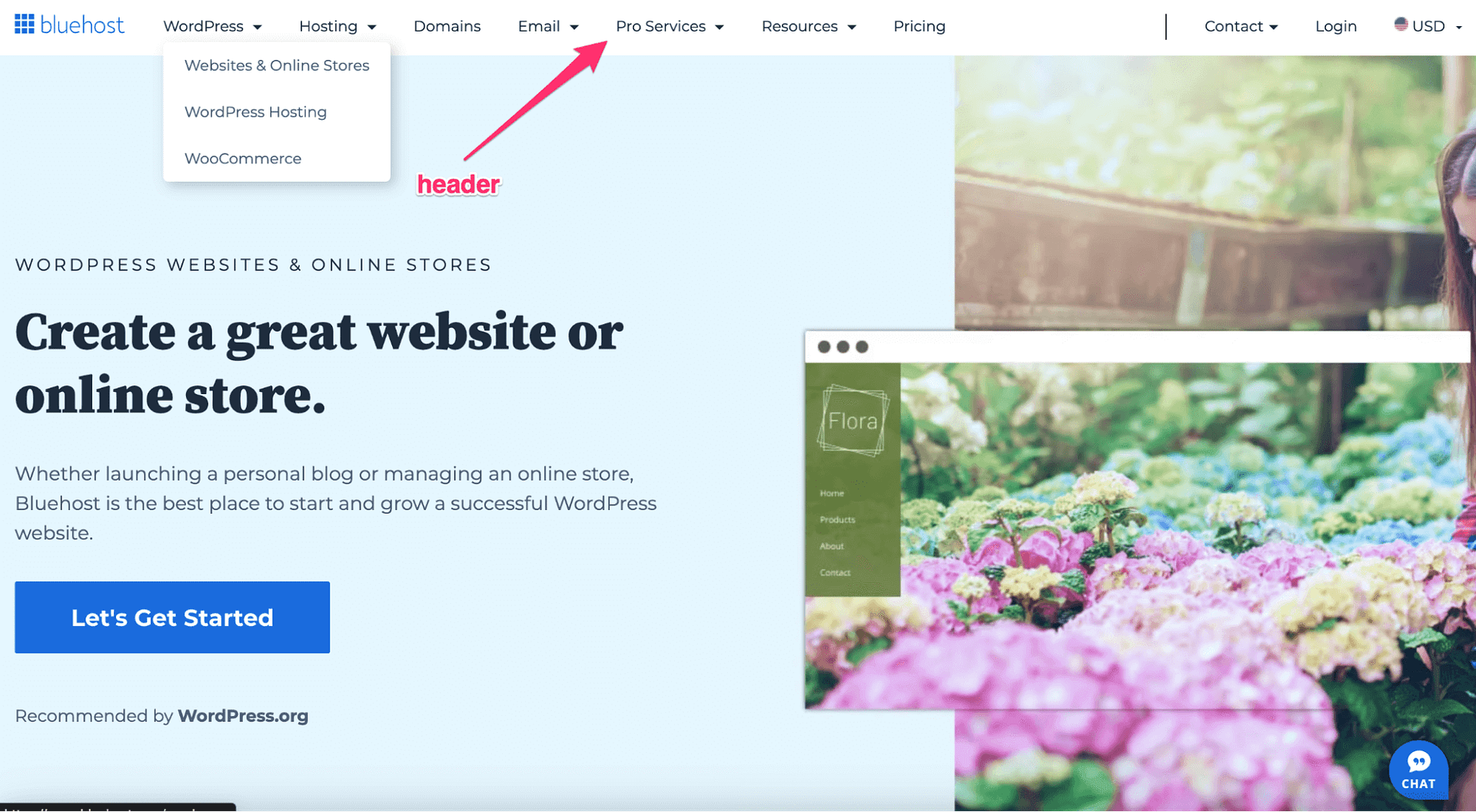 A header is a common web design element.