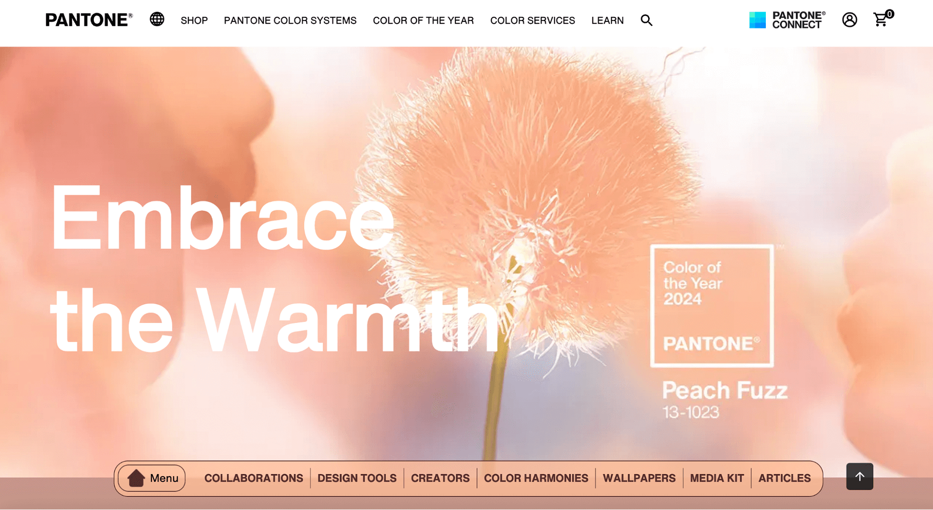 Pantone selected peach fuzz as its color of the year for 2024.